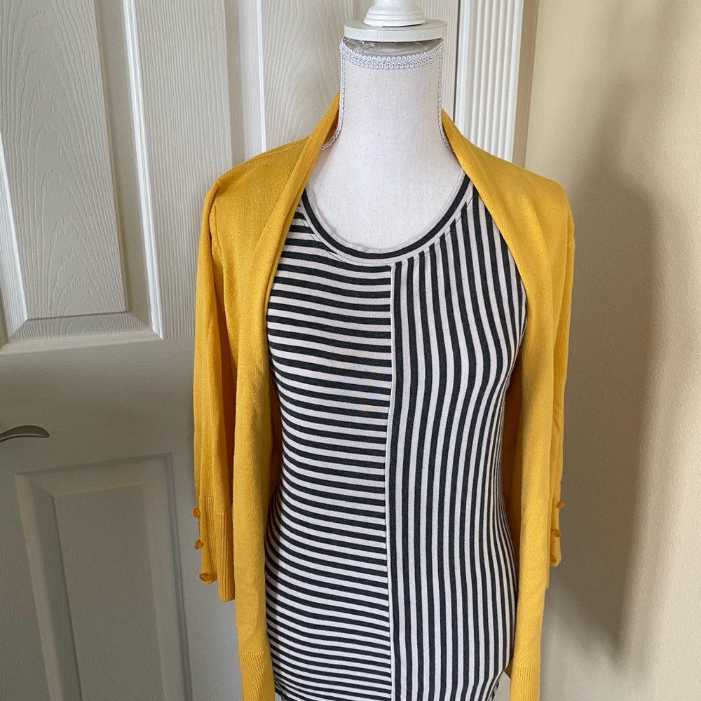 Striped Cabi top